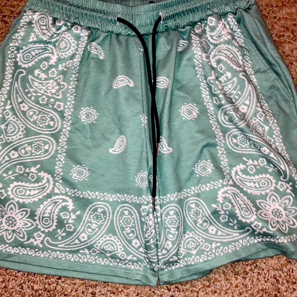 Mint Paisley/ bandanna shorts